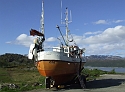 Boats Everywhere